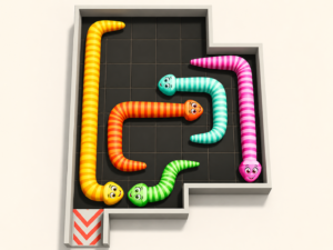 Snake Path Puzzle